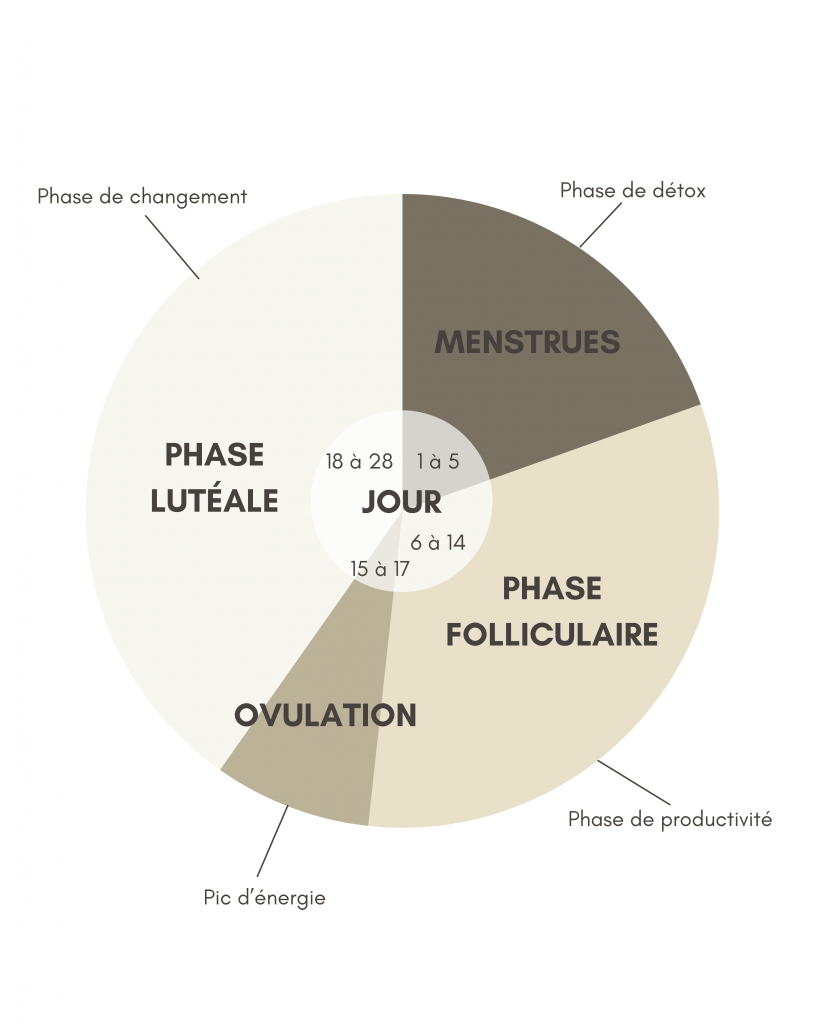 schéma cycle menstruel apprentissage coran