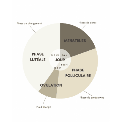 schéma cycle menstruel apprentissage coran-2